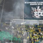 LOSC : les Dogues connaissent leur adversaire en barrages de la Ligue des Champions