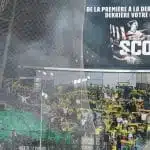 LOSC : les Dogues connaissent leur adversaire en barrages de la Ligue des Champions