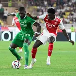 ASSE : un Vert s&rsquo;insurge contre l&rsquo;arbitrage