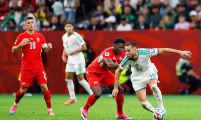 OM Mercato : à peine arrivé, Genesio veut déjà chiper une recrue mondiale au LOSC !