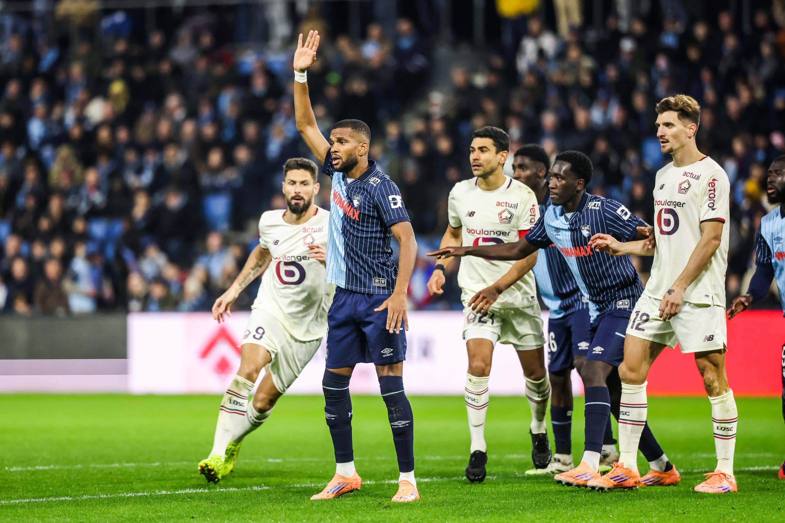 Les Dogues et les Havrais s'affrontent ce dimanche