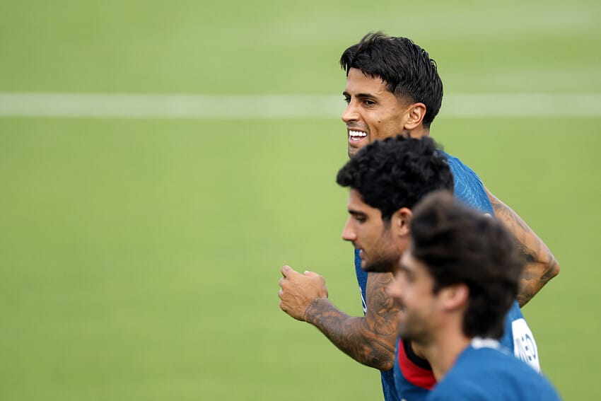 Joao Cancelo (Portugal)