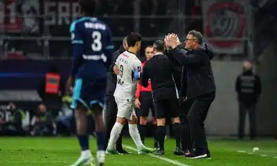 Stade Rennais : le verdict est tombé après la blessure de Lepaul