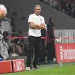 PSG : la nouvelle pelouse du Parc passe déjà un test décisif