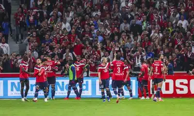Pronostic Toulouse – LOSC : une nouvelle victoire pour les Dogues ?