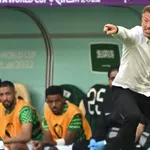 ASSE : Hervé Renard chez les Verts après le Mondial, un fantasme à  oublier ?
