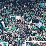 ASSE : les Associés Supporters ne boycotteront pas Geoffroy-Guichard