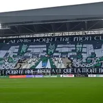 ASSE : les plus beaux tifos des supporters des Verts la saison dernière