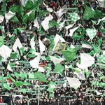 ASSE : les Ultras cartonnent les Verts pendant une séance de dédicaces