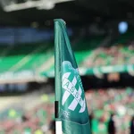 ASSE – OL : le derby arrive, le peuple Vert se distingue