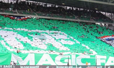 ASSE – L&rsquo;oeil de MC Pampille : « S&rsquo;il y a dissolution, ce sera bien pire »
