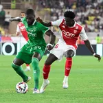 ASSE : un Vert s’insurge contre l’arbitrage