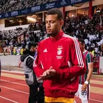 FC Nantes – Mercato : les Canaris piochent à  Benfica (officiel)