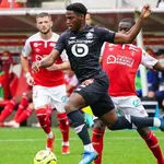 LOSC : coup dur pour Celik, la fusée David est enfin lancée