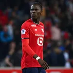 LOSC : Gourvennec a deux nouveaux internationaux dans son effectif