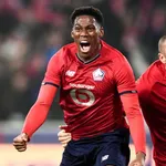 LOSC : les Dogues montrent les crocs en Champions League