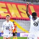 LOSC : les Dogues ont mis le grappin sur un mini « Sterling »