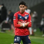 LOSC : les Dogues ont une arme fatale en vue du titre