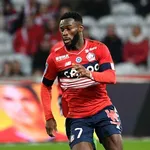 LOSC : les Dogues redémarrent par une victoire en amical