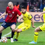 LOSC : les Dogues sortent la tête haute de la Champions League