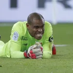 LOSC – Mercato : Enyeama raccroche avec un dernier projet vivifiant !