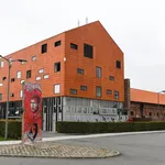 LOSC – Mercato : Miramon débarque, un grand nom des Dogues lui souhaite la bienvenue !