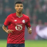 LOSC – Mercato : un cadre de Gourvennec pourrait partir gratuitement !