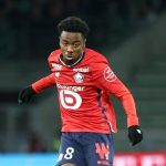 LOSC Mercato : une demi-douzaine de cadors veulent un Dogue en janvier