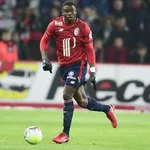 LOSC – Mercato : une mise au placard se confirme pour deux Dogues