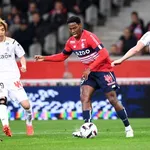 LOSC – Reims : les Lillois perdent deux points face aux Rémois