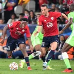 LOSC : un Dogue n&rsquo;est pas reparti les mains vides après Wolfsburg