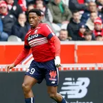 LOSC : un Lillois marche sur les traces d&rsquo;Erling Haaland !