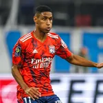 OL, LOSC : un Gone et un Dogue cité dans un procès retentissant