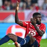 LOSC : un retour improbable pour Genesio et les Dogues avant la fin de saison ?
