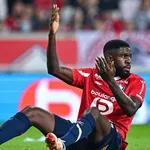 LOSC : un retour improbable pour Genesio et les Dogues avant la fin de saison ?