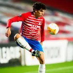 Real Madrid, PSG – Mercato : une solution low cost trouvée avec Sergio Ramos ?