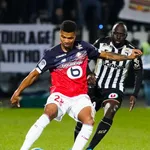 Résultat Ligue 1 : le LOSC assure contre Angers mais perd Osimhen (2-0)