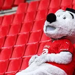 Stade Rennais &ndash; OM (2-1) : le tweet chambreur de la mascotte rennaise à  Dimitri Payet