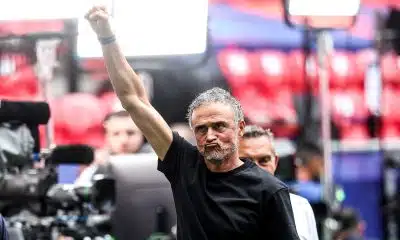 PSG : après l’échec Yan Diomandé, la nouvelle priorité de Luis Enrique est connue !