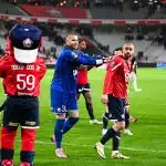 LOSC : bonne nouvelle pour Zhegrova avant Bologne, compte rond pour Chevalier