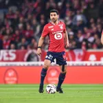 LOSC : un Dogue s&rsquo;invite dans l&rsquo;élection présidentielle de la FFF