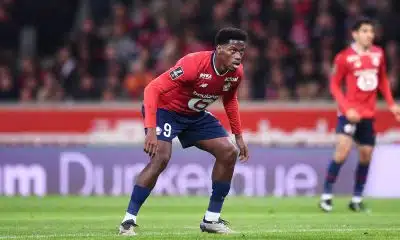 LOSC Mercato : Jonathan David ne veut pas partir cet hiver !