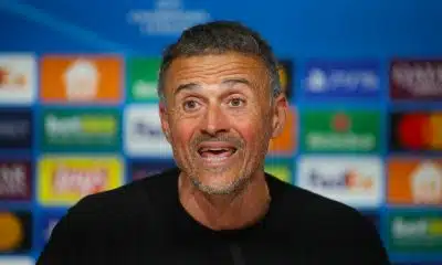 PSG : Jérôme Rothen perd patience avec Luis Enrique