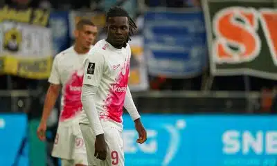 Stade Rennais Mercato : le successeur de Lepaul déjà identifié en Ligue 1 ?