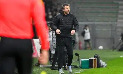 ASSE : Guillou et Horneland ont trouvé un moyen infaillible pour faire remonter les Verts en L1