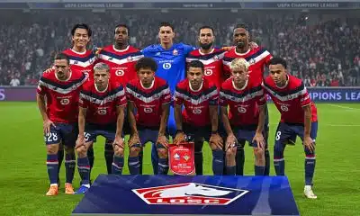 Pronostic LOSC – Troyes : les Dogues vont-ils rebondir après le Betis ?