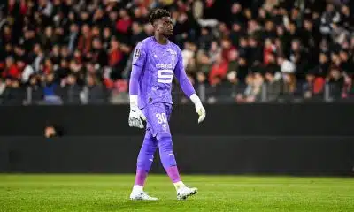 Stade Rennais Mercato : nouveau coup de théâtre pour Brice Samba !