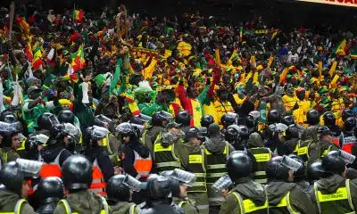 CAN 2025 : l’IA a calculé les chances de voir le Sénégal récupérer le titre au Maroc après le TAS