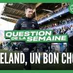 ASSE : pourquoi Horneland peut être un bon choix
