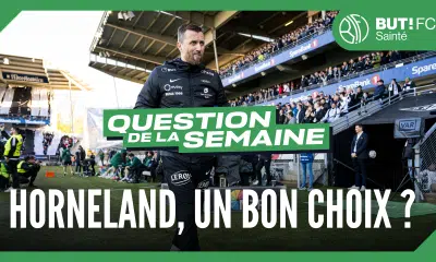 ASSE : pourquoi Horneland peut être un bon choix